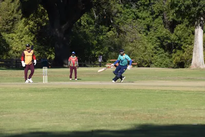 DSC_2333 (Large).JPG